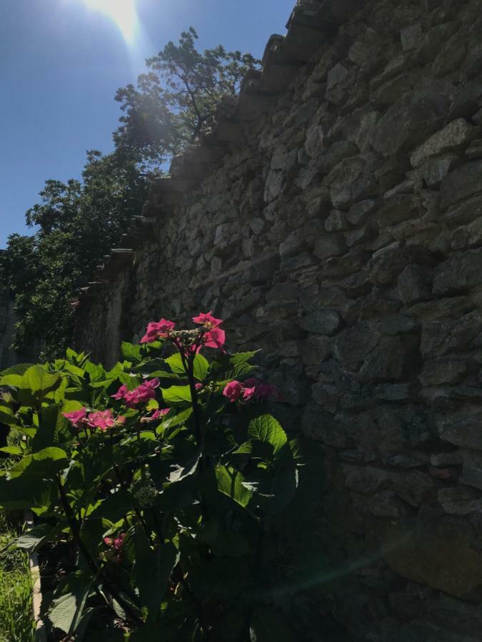Chateau Pont Jarno B&B Champdeniers Экстерьер фото